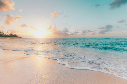 Exploring the Cultural Sights: A Traveler's Guide to Virginia Beach and Louisville